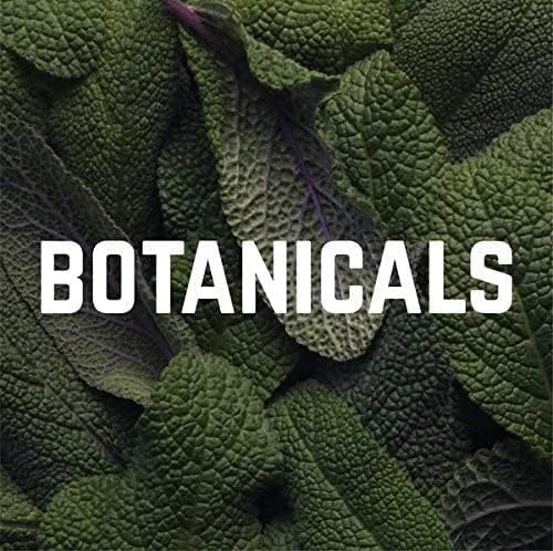 پودر آبرسان الکترولیت Veloforte Solo - زردآلوی طلایی و مریم گلی - 9 عدد x 7 گرم - 5 گرم کربوهیدرات، 240 میلی گرم پتاسیم، 350 میلی گرم سدیم، آبرسانی مجدد، الکترولیت های خالص، 100% طبیعی، وگان، بدون گلوتن