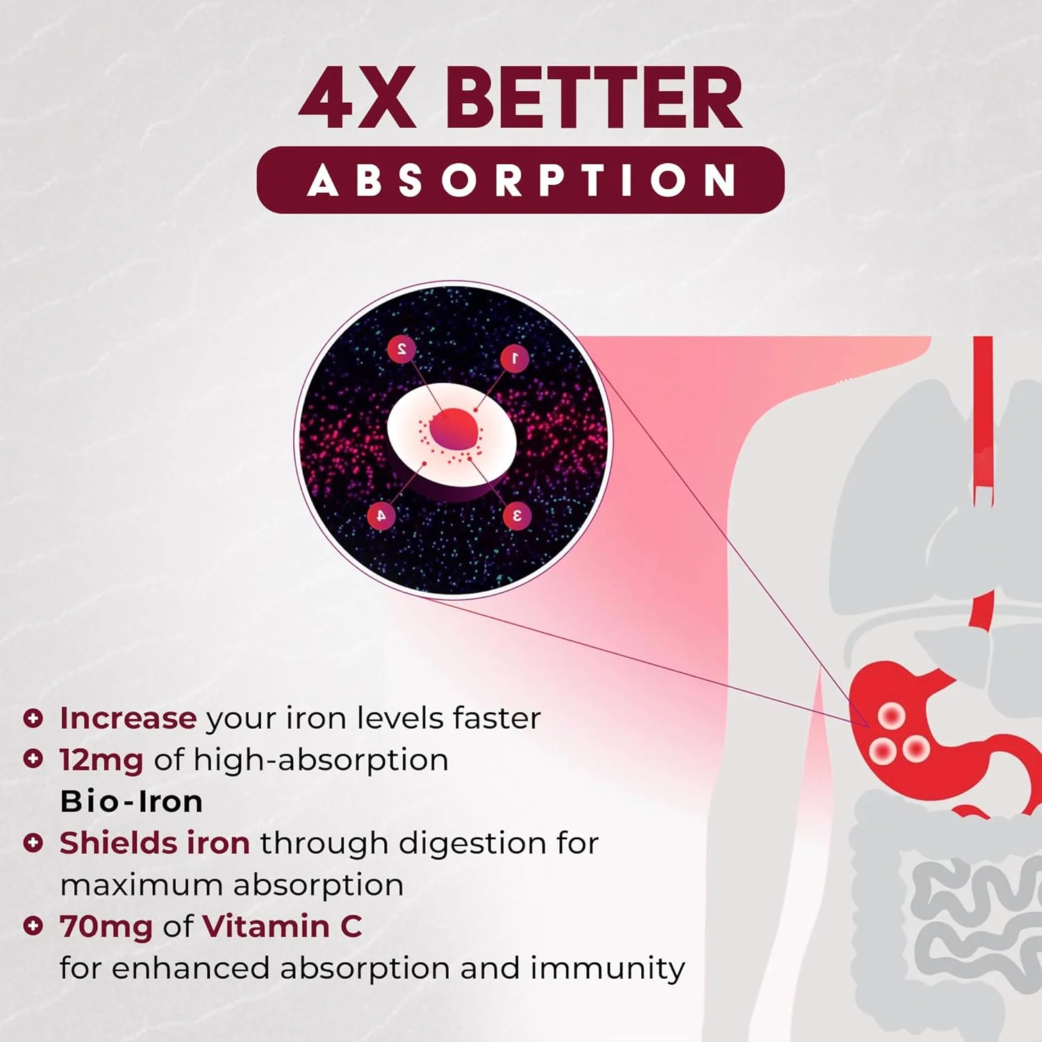 کپسول های آهن گیاهی - مکمل برای انرژی، تقویت سیستم ایمنی و تولید گلبول های قرمز سالم - ملایم برای معده - 60 کپسول کپسول های آهن گیاهی - مکمل برای انرژی، تقویت سیستم ایمنی و تولید گلبول های قرمز سالم - ملایم برای معده - 60 کپسول