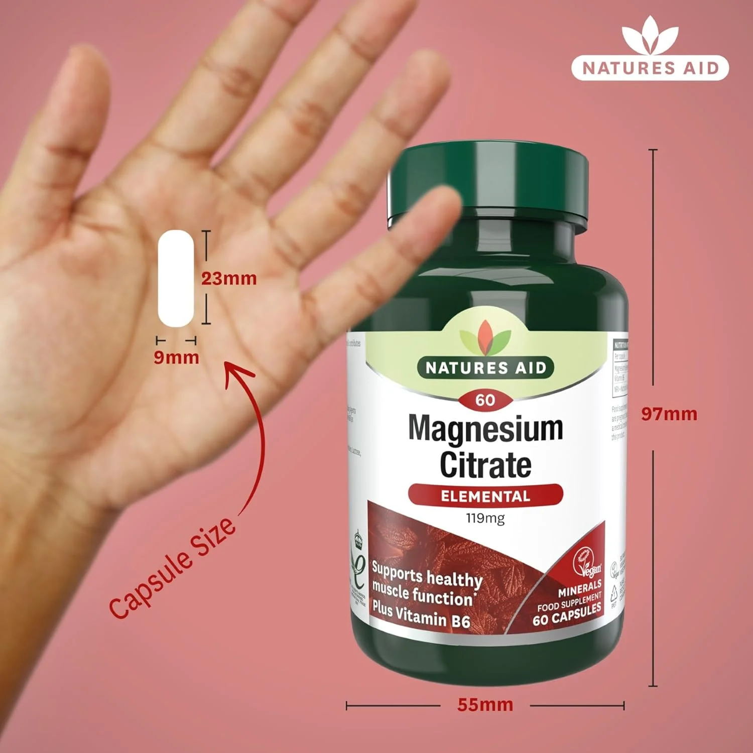 سیترات منیزیم 750 میلی گرم نیچرز اید به همراه ویتامین B6 - کپسول های وگان با جذب بالا - پشتیبانی از سلامت عضلات، اعصاب و استخوان و کاهش استرس - غیر تراریخته، بدون گلوتن - 60 کپسول