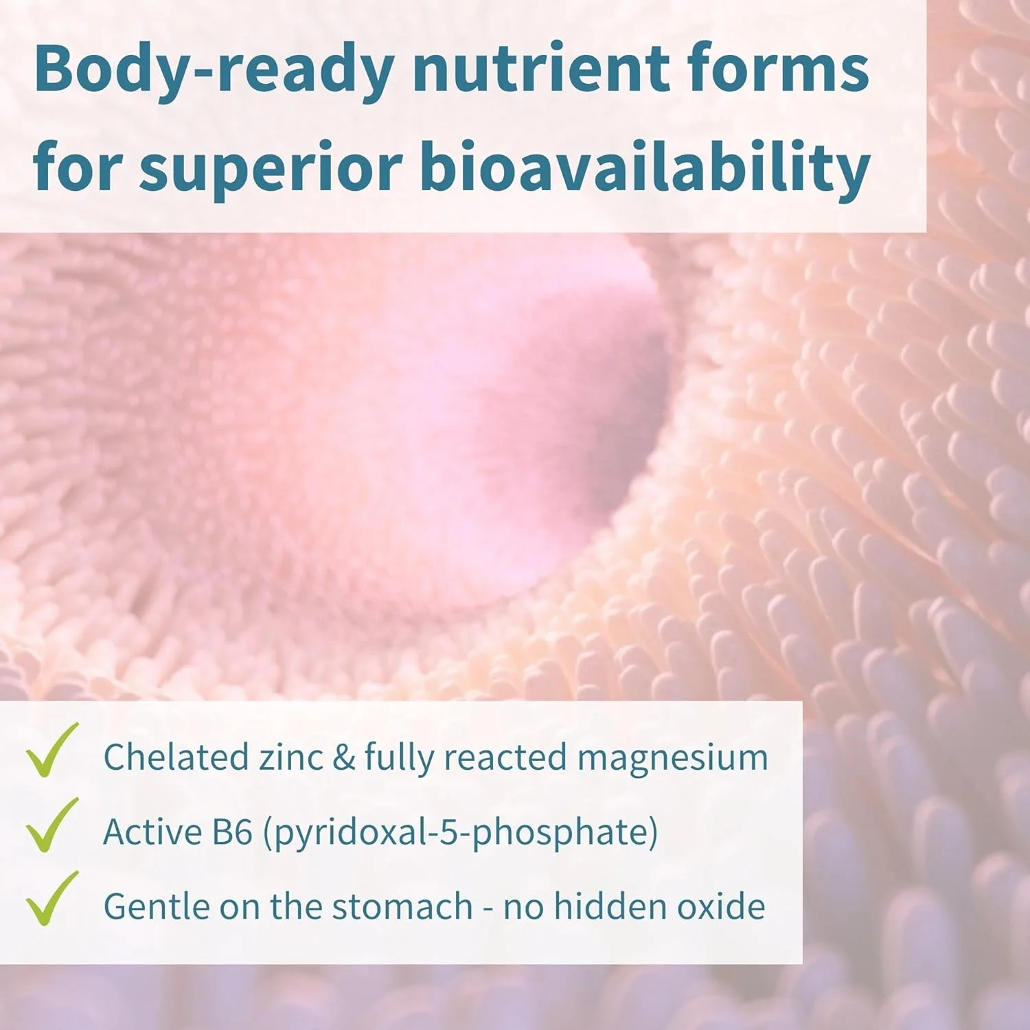 نوروبالانس ایگنوس، مکمل پیکولینات روی، منیزیم و ویتامین B6 برای بزرگسالان و کودکان، 120 قرص