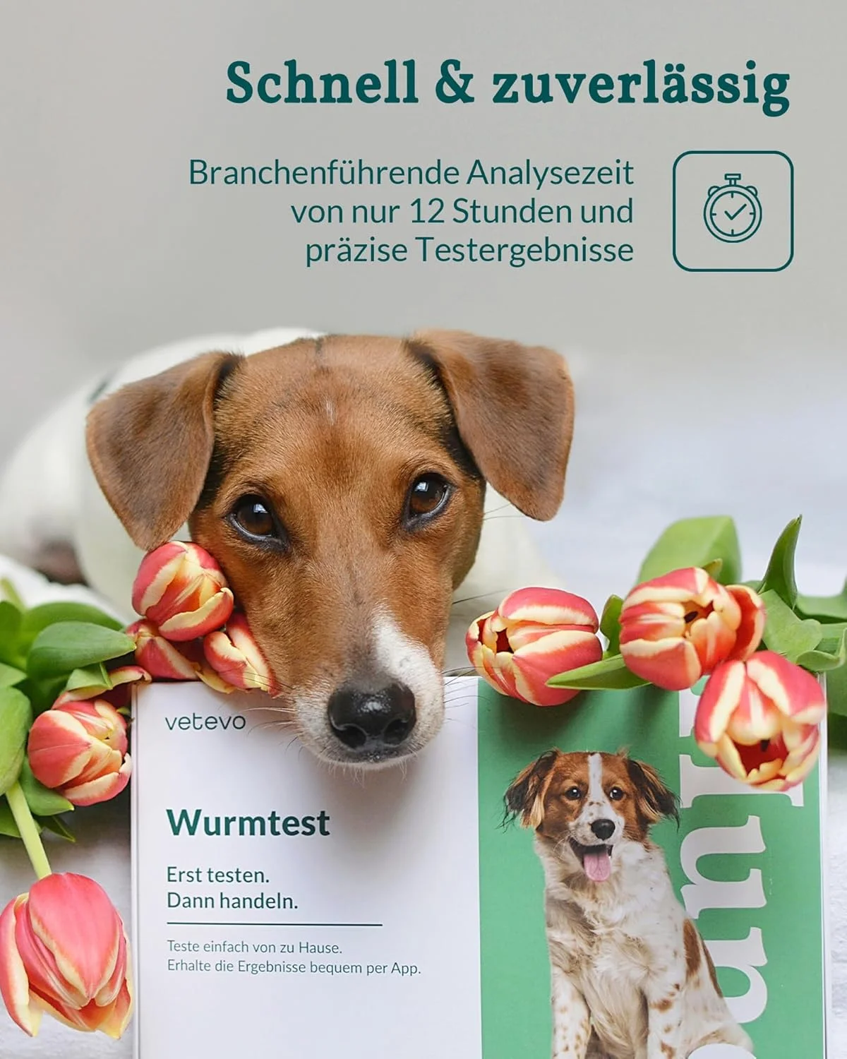 تست کرم ریه سگ وتوو