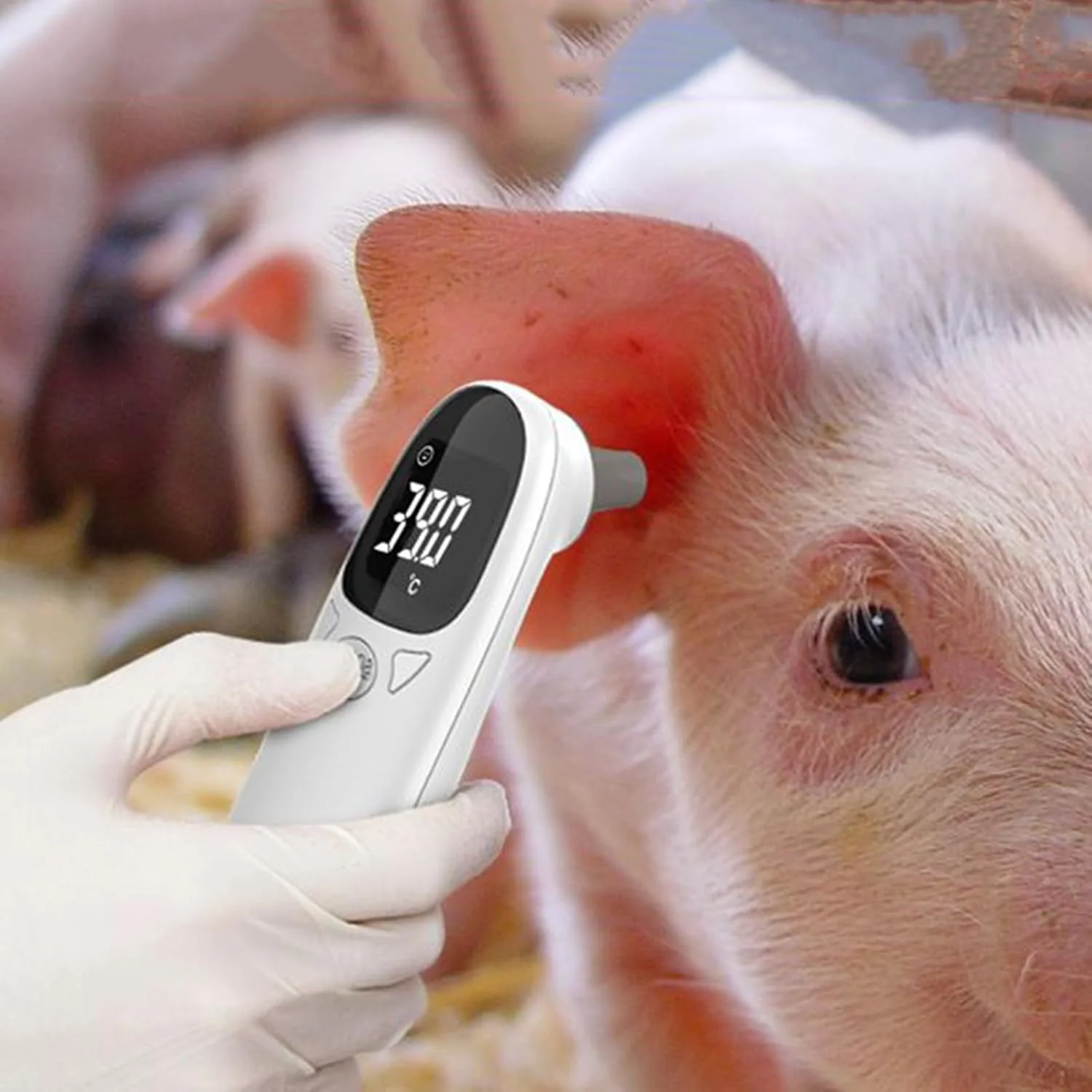 دماسنج اسب - ترموگراف دام، گیج ترموگراف فوری قابل حمل برای سگ، اسب، گاو، خوک، دام، گربه های خانگی، سلامت دماسنج اسب - ترموگراف دام، گیج ترموگراف فوری قابل حمل برای سگ، اسب، گاو، خوک، دام، گربه های خانگی، سلامت