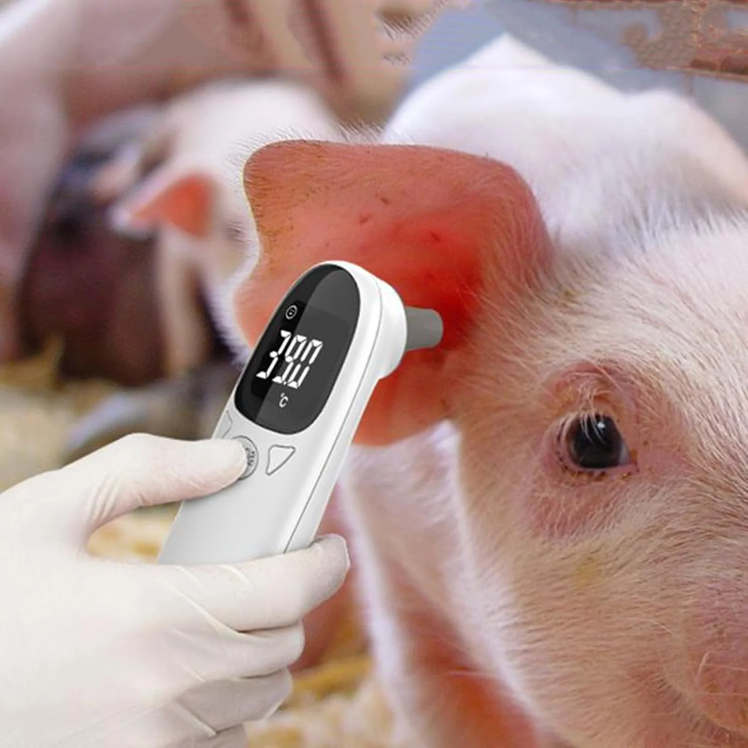 دماسنج اسب | اندازه گیری سریع و دقیق - ترموگراف فوری قابل حمل برای دام، سگ، گربه، خوک، گاو، مناسب برای استفاده در محیط داخلی
