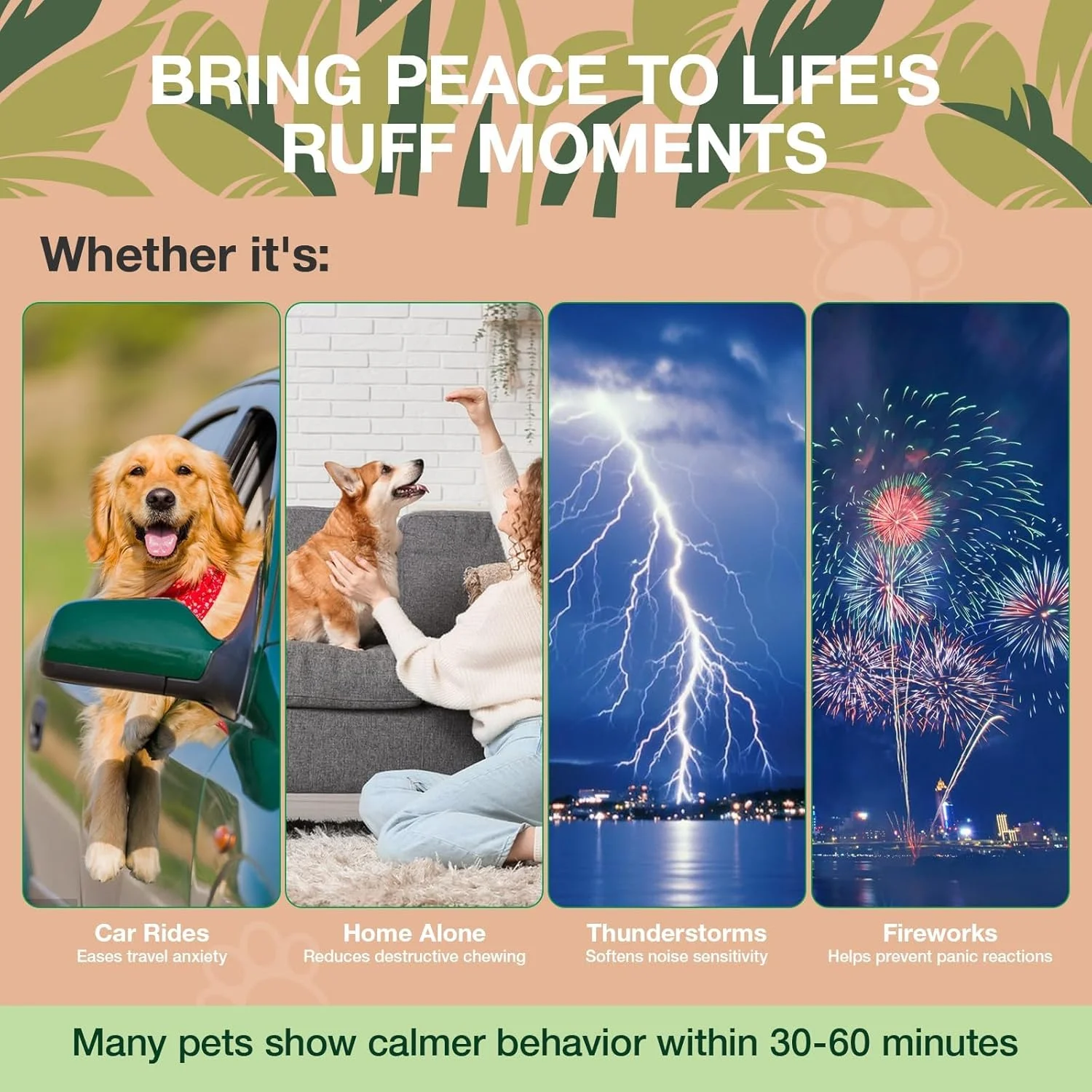 تشویقی آرامبخش سگ، ظرف، تشویقی نرم سگ، ظرف 30 عددی، ظرف