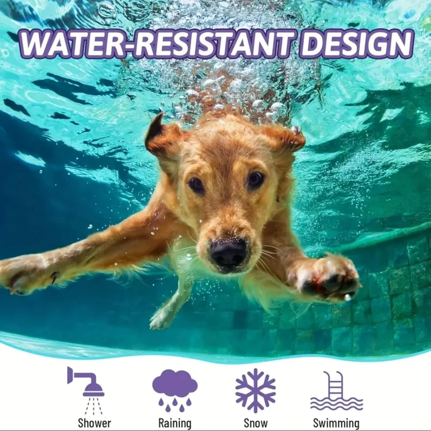 قلاده آرام‌بخش سگ، بسته 4 عددی، قلاده ضد کک و کنه سگ با کاهش اضطراب و استرس، قلاده ضد آب بنفش برای سگ‌ها، قلاده قابل تنظیم انعطاف‌پذیر برای توله سگ و سگ‌های بالغ، محصولات ماندگار برای آرام کردن حیوانات خانگی