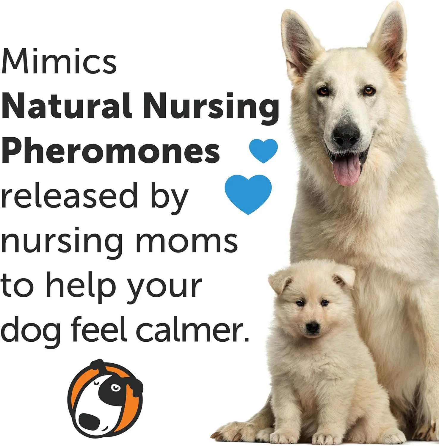 اسپری آرام‌بخش سگ تاندرایز | تقویت شده با ADAPTIL | کاهش اضطراب در طول سفر، ویزیت دامپزشک و پانسیون