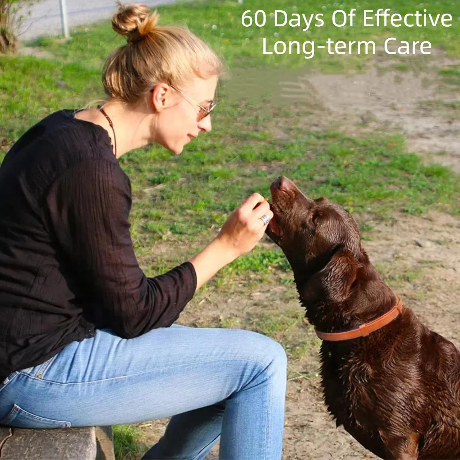 قلاده آرام‌بخش سگ، قلاده آرام‌بخش سگ با فرمون، تسکین اضطراب و استرس، جدایی، اندازه قابل تنظیم 70 سانتی‌متر، اثر آرام‌بخش فرمون‌ها تا 60 روز