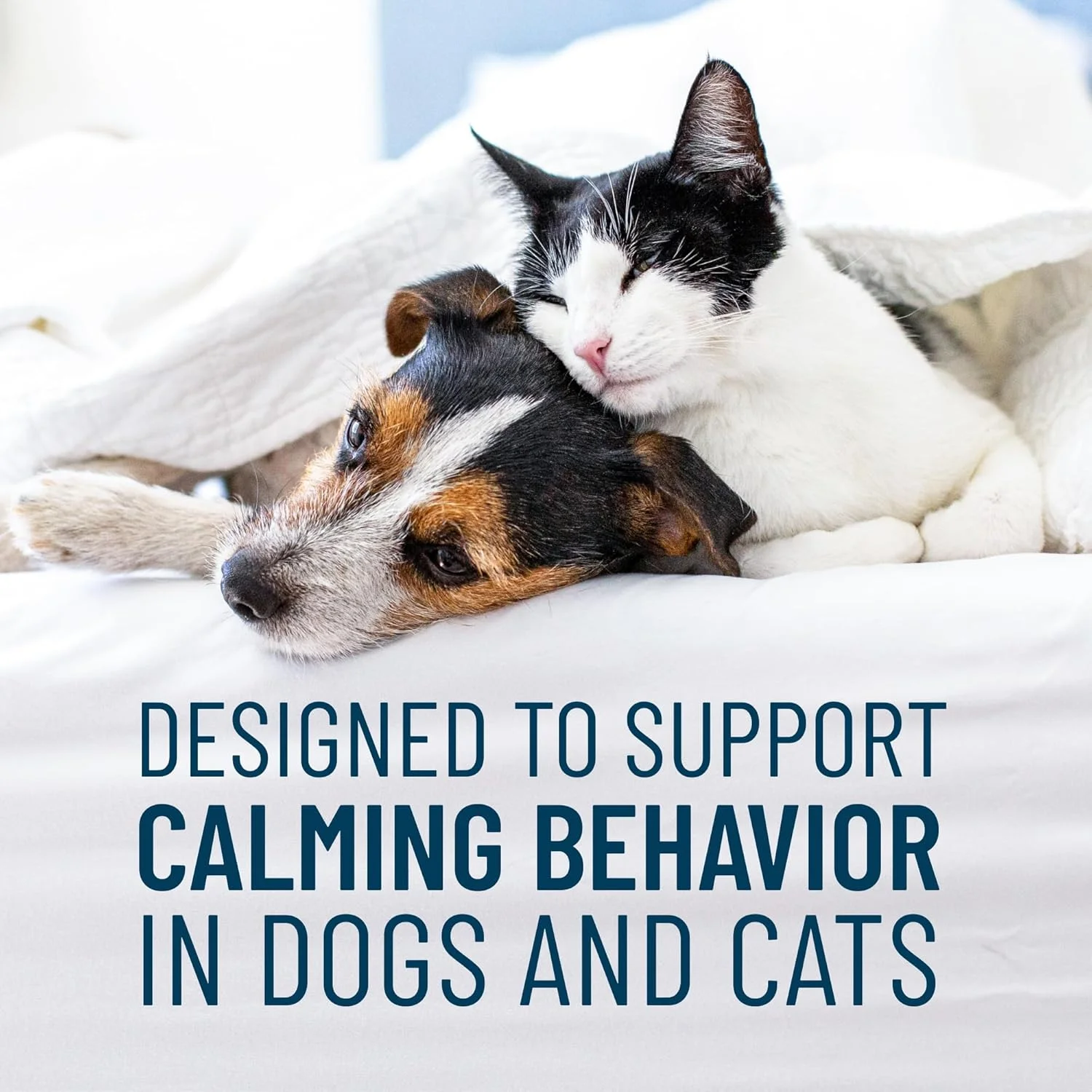 مکمل رفتاری سولی‌کویین برای سگ و گربه، ۷۵ عدد جویدنی نرم