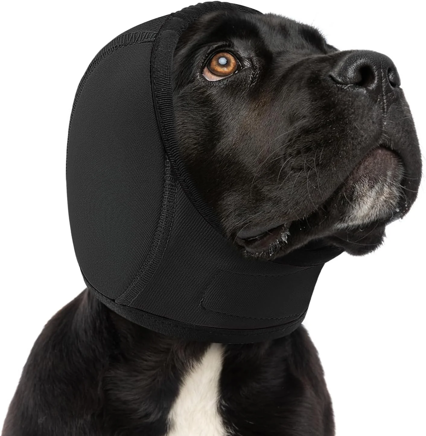 هودی آرام‌بخش سگ سانفورا - گوش‌بند ضد اضطراب برای سگ‌ها، محافظ گوش سگ برای کاهش صدا، پوشش سر برای جلوگیری از تکان دادن سر و هماتوم برای نظافت، خشک کردن با فشار و حمام، مشکی M