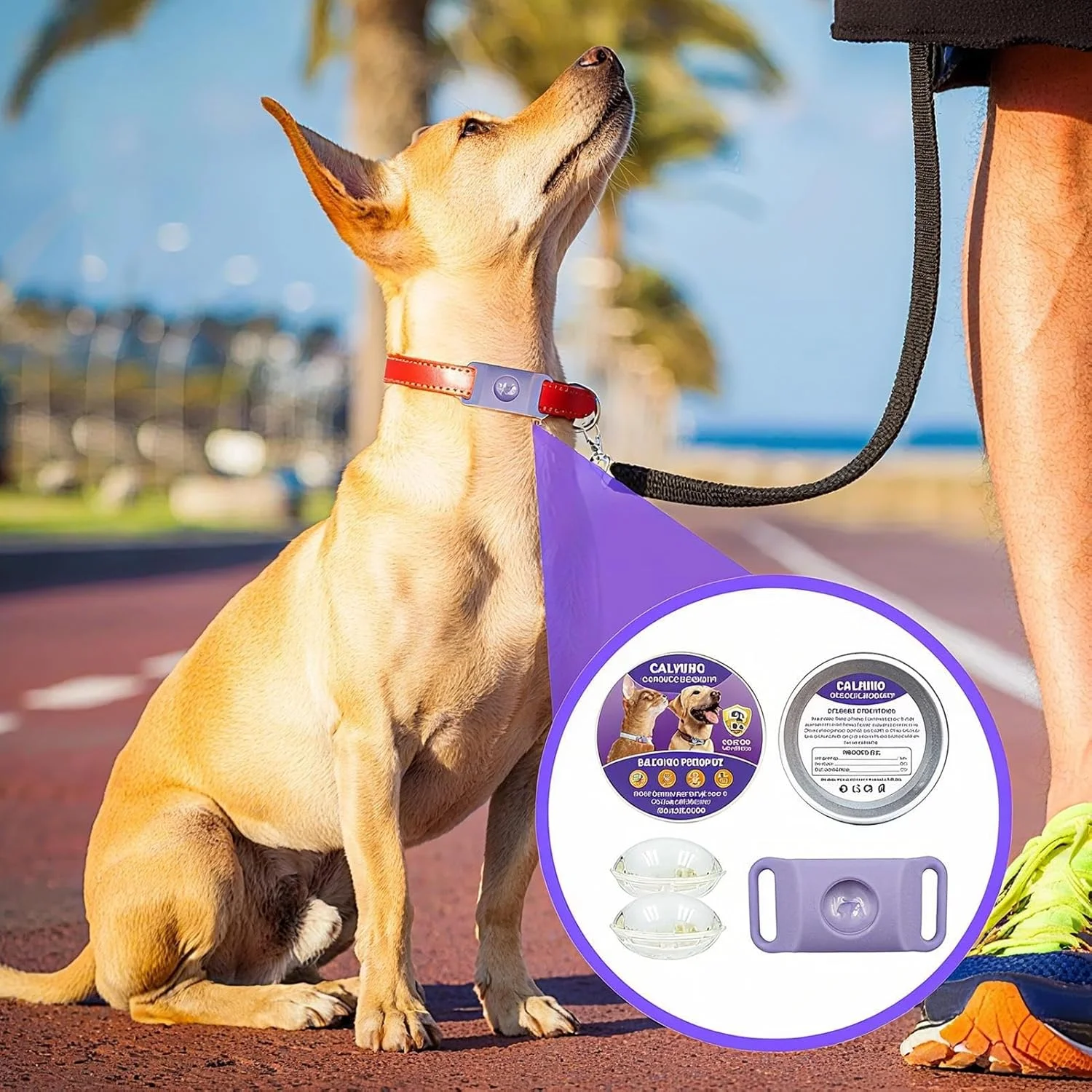 قلاده آرام‌بخش سگ سیلیکونی، آرام‌کننده استرس سگ | آرام‌بخش پخش‌کننده انعطاف‌پذیر برای آرامش حیوانات خانگی در خانه، مسافرت، استرس و جدایی در فضای باز