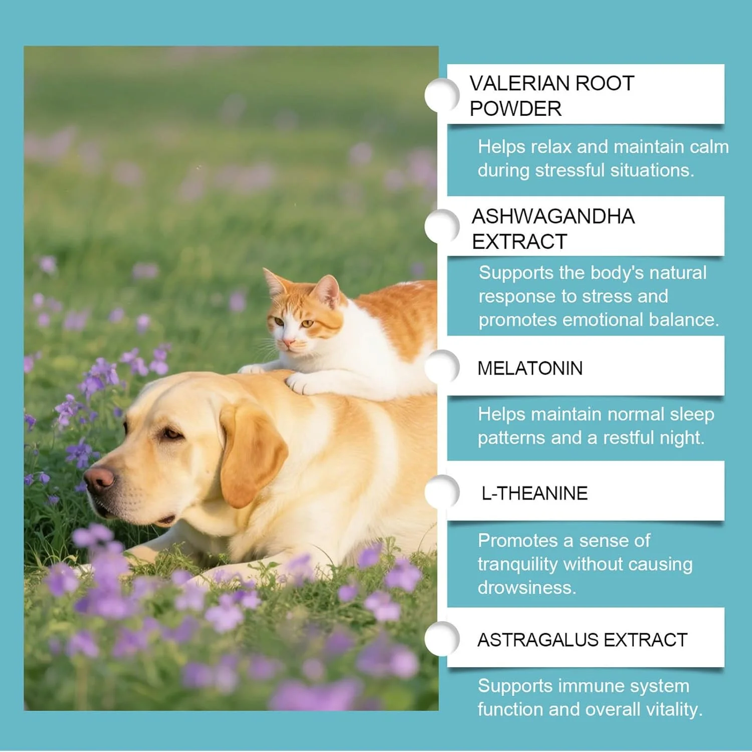 آرامبخش سگ، 60 میلی لیتر، کمک آرام بخش برای سگ ها برای نظافت | مکمل آرام بخش ملایم برای بچه گربه، میو میو کردن، پرخاشگری، رعد و برق، کوتاه کردن ناخن، نظافت در محیط داخلی