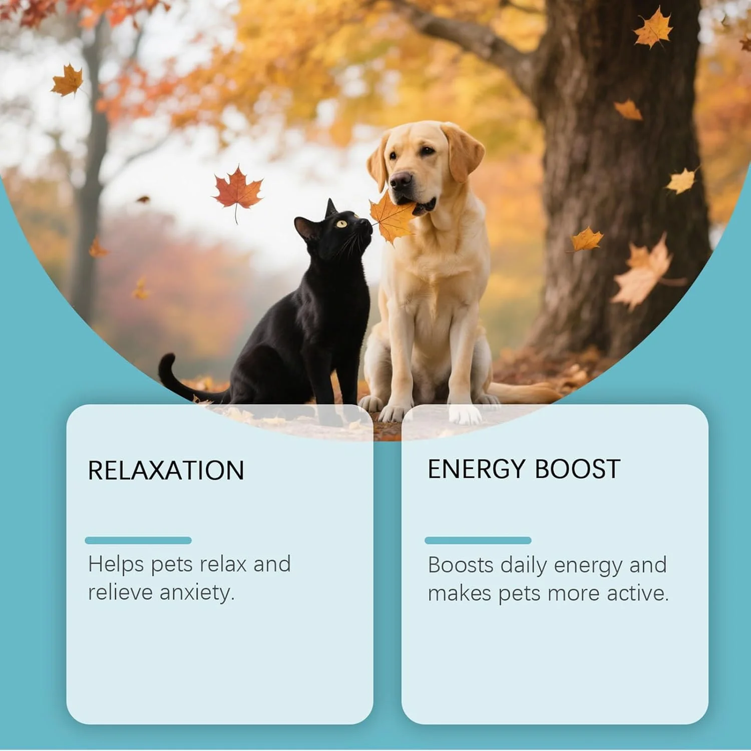 آرام‌بخش گربه | 60 میلی‌لیتر مکمل آرام‌بخش توله سگ برای نظافت - مکمل ملایم و تسکین‌دهنده برای میو میو کردن بچه گربه، پرخاشگری، رعد و برق، کوتاه کردن ناخن، نظافت در محیط داخلی