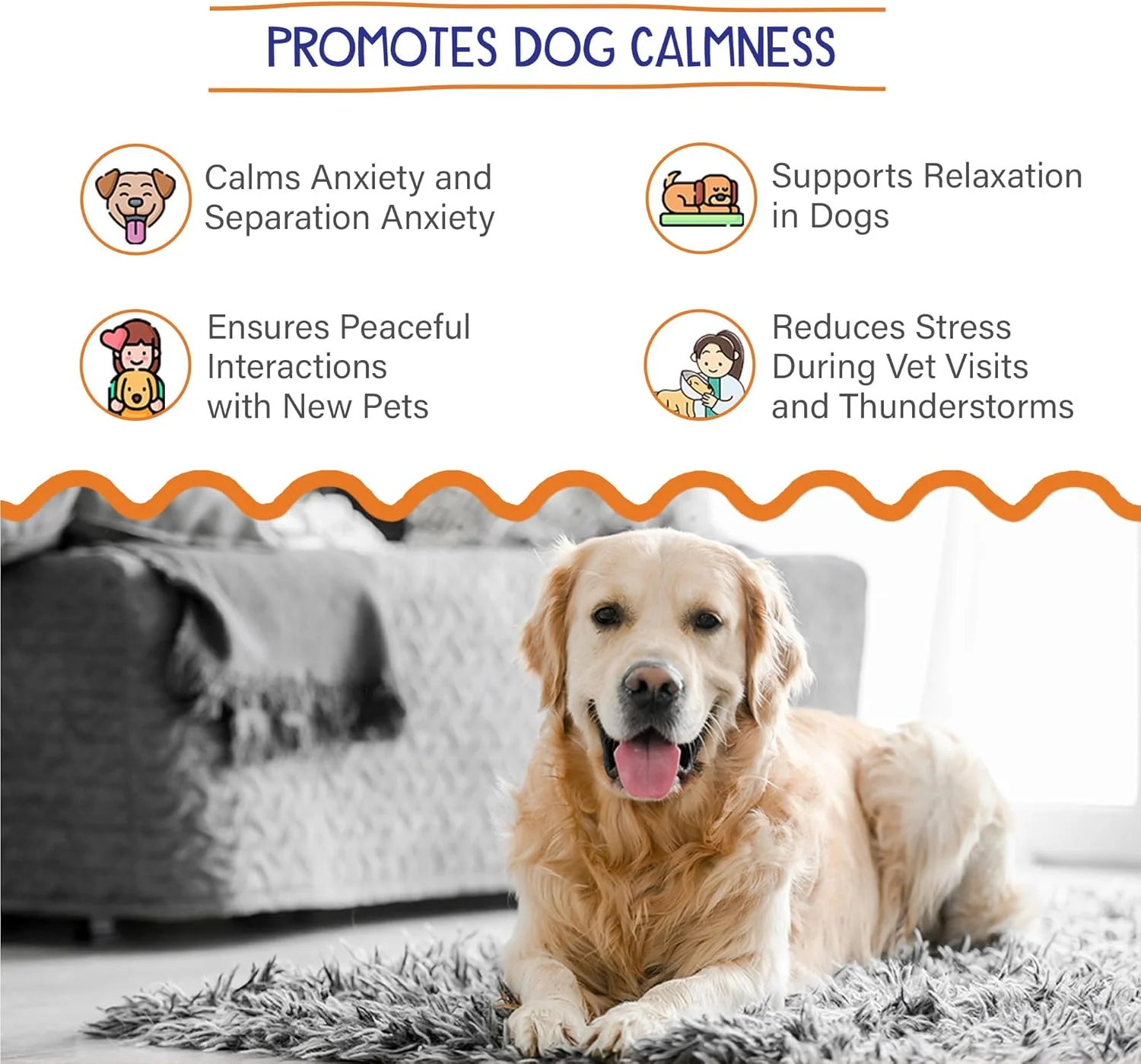 پودر آرام‌بخش و ضد اضطراب پت‌ویت 100 گرمی | مکمل‌ها و ویتامین‌ها | تسکین استرس گربه و سگ | مواد طبیعی | کمک در طول سفر، رعد و برق، آتش بازی، اضطراب |