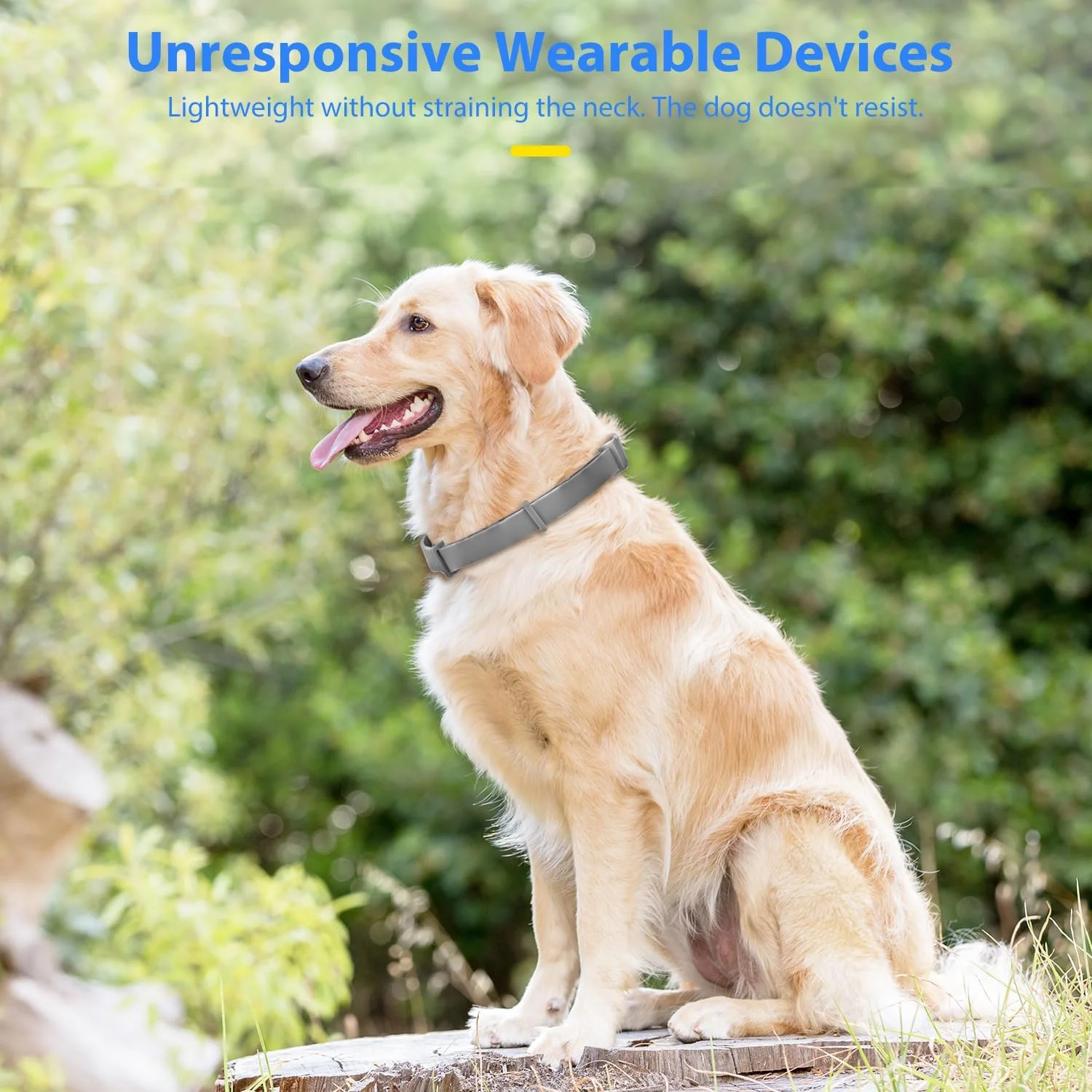 قلاده آرامبخش سگ - تسکین اضطراب برای سگ ها، راحتی قابل تنظیم برای استرس، جدایی، صدا و ویزیت دامپزشک، برای توله سگ ها تا سگ های مسن (خاکستری) - بسته 4 عددی