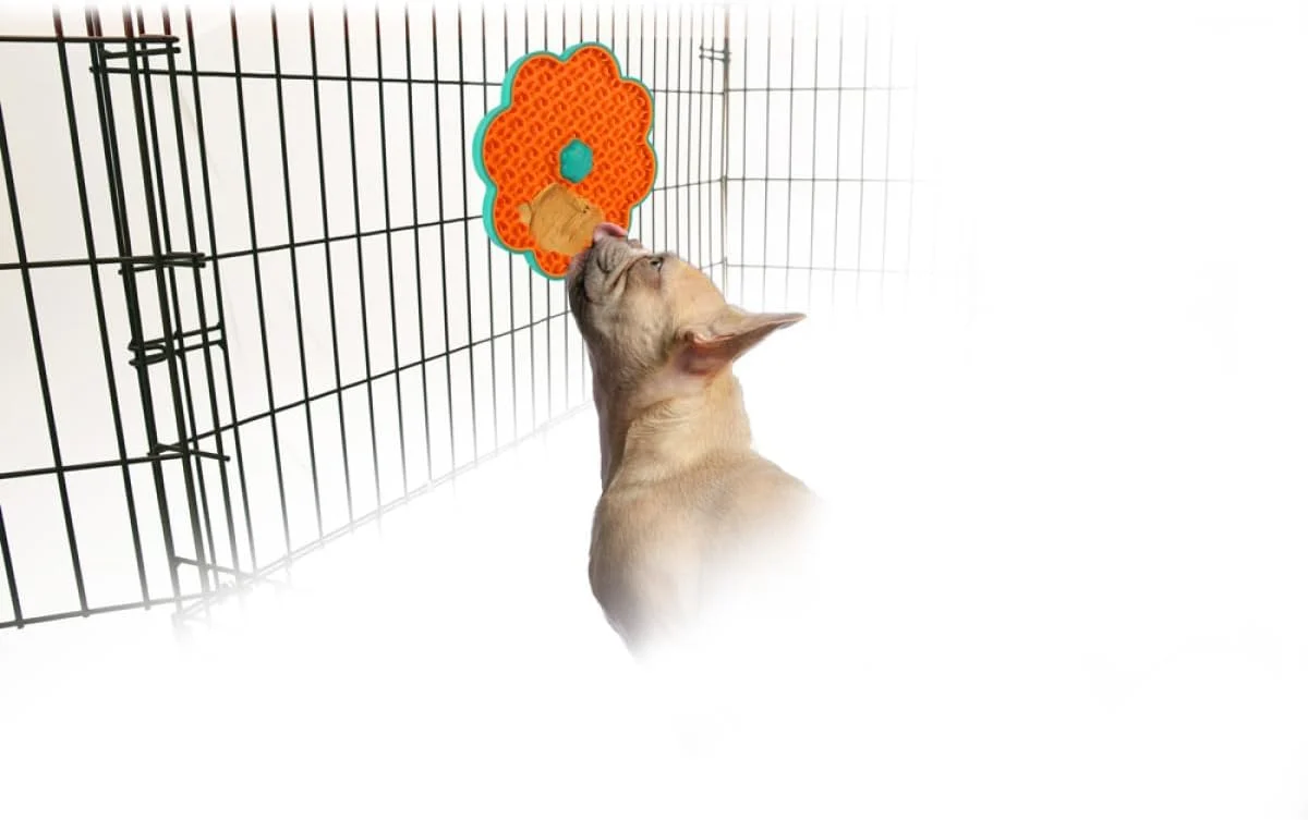 آل فور پاوز پد آرامش بخش سگی