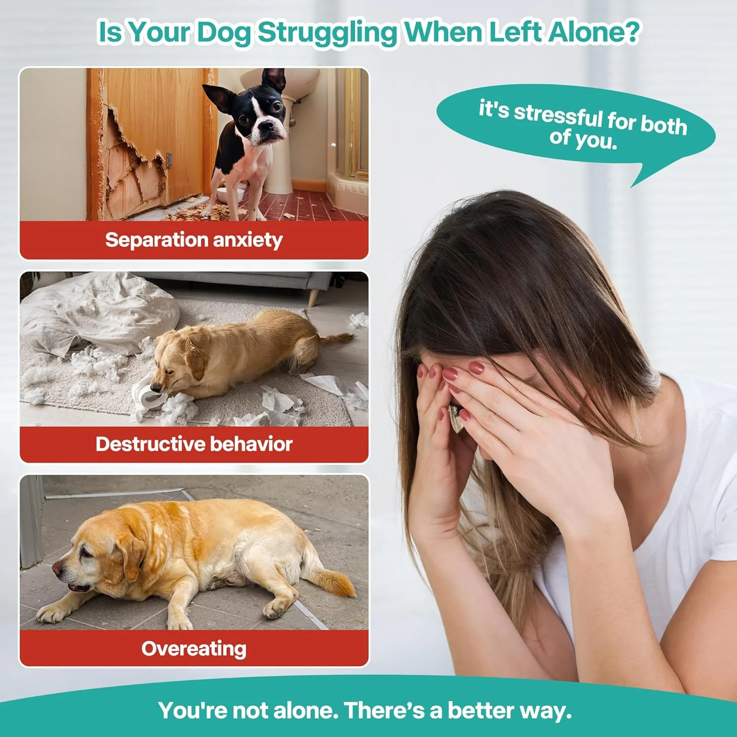 آل فور پاوز پد آرامش بخش سگی