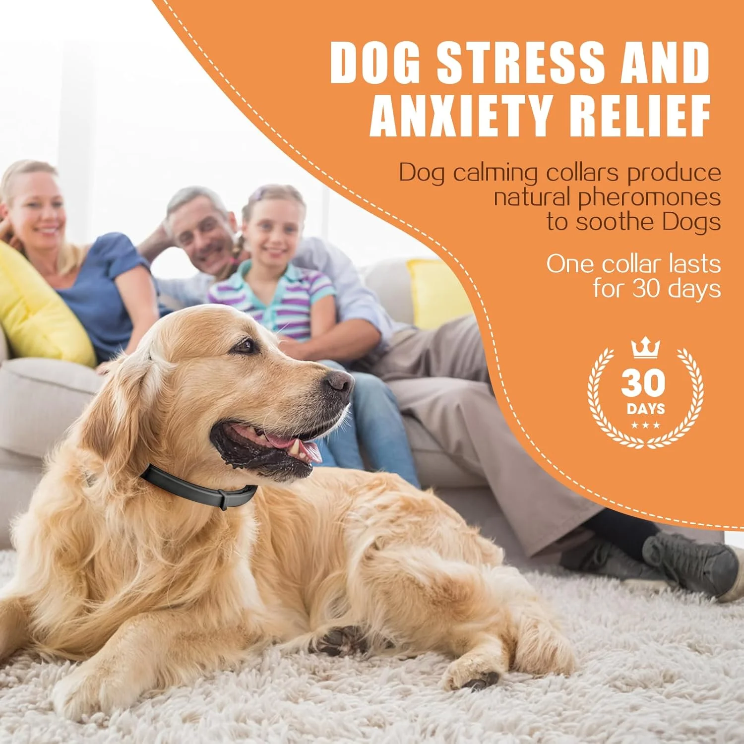 قلاده آرام‌بخش سگ با فرمول طولانی‌اثر، کمک به کاهش رفتارهای نامطلوب و استرس، ماندگاری 60 روزه، سایز 62 سانتی‌متر، انعطاف‌پذیر و قابل تنظیم برای توله سگ و سگ بالغ (مشکی)