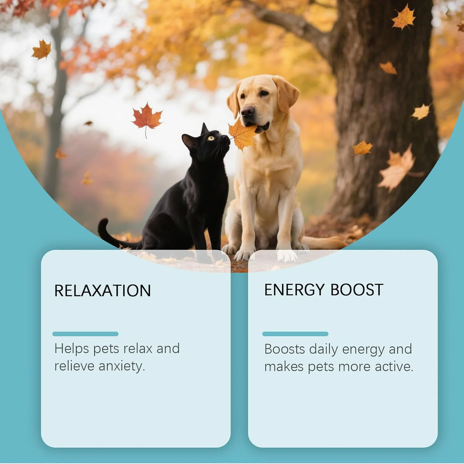 محلول آرام‌بخش گربه - 60 میلی‌لیتر، مکمل آرام‌بخش توله سگ برای نظافت، مکمل تسکین‌دهنده حیوانات خانگی برای مراقبت روزانه، مسافرت، نظافت داخلی، خواب، پرخاشگری و حمام