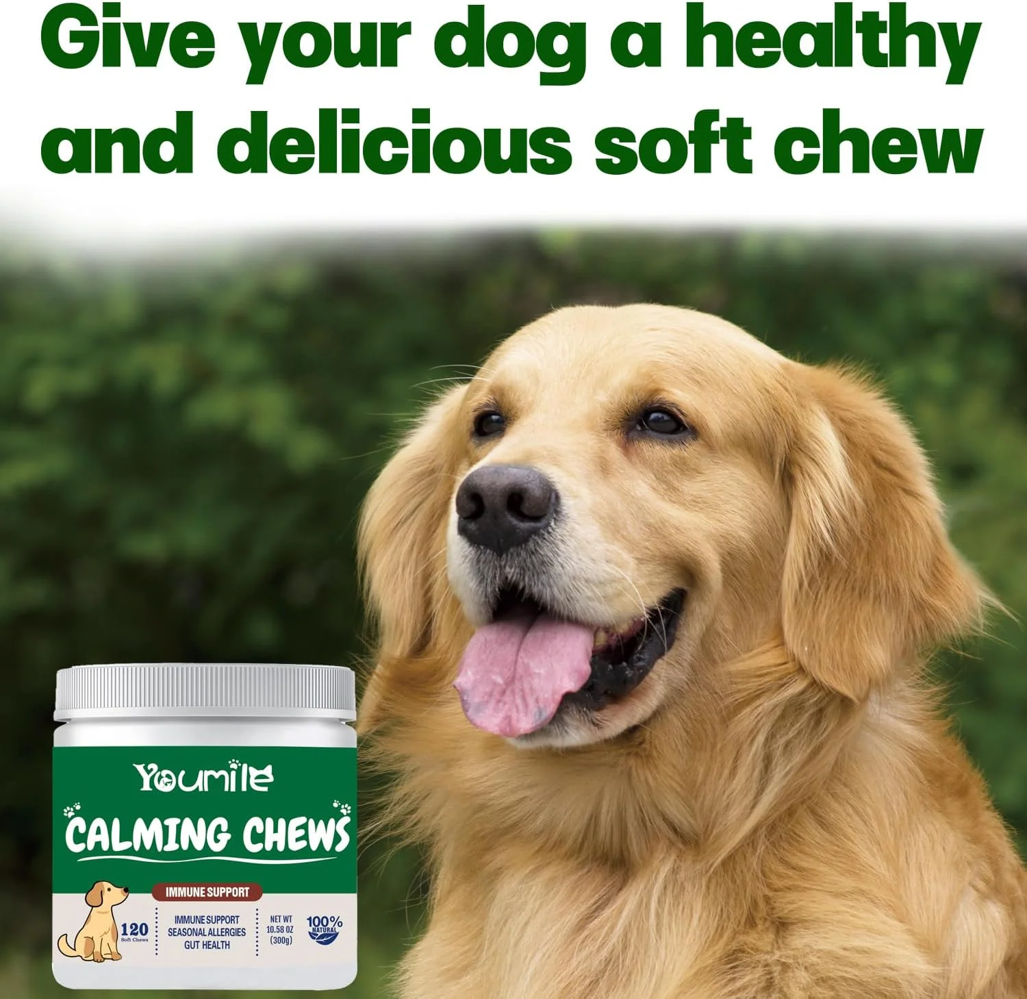 مکمل های آرام بخش حیوانات خانگی، اضطراب سگ ها را کاهش داده و آرامش روزانه را تقویت می کنند، به کاهش اضطراب و استرس کمک می کند و باعث آرامش می شود، قرص های جویدنی برای حیوانات خانگی