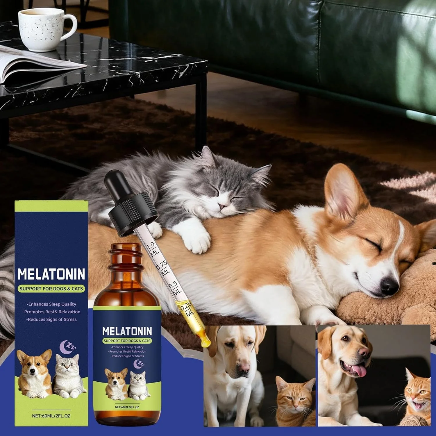 قطره آرامبخش گربه، 60 میلی لیتر قطره مراقبت تغذیه ای | مکمل های آرامش بخش، برای سگ ها گربه ها مراقبت از حیوانات خانگی خواب عمیق شب هنگام سفر