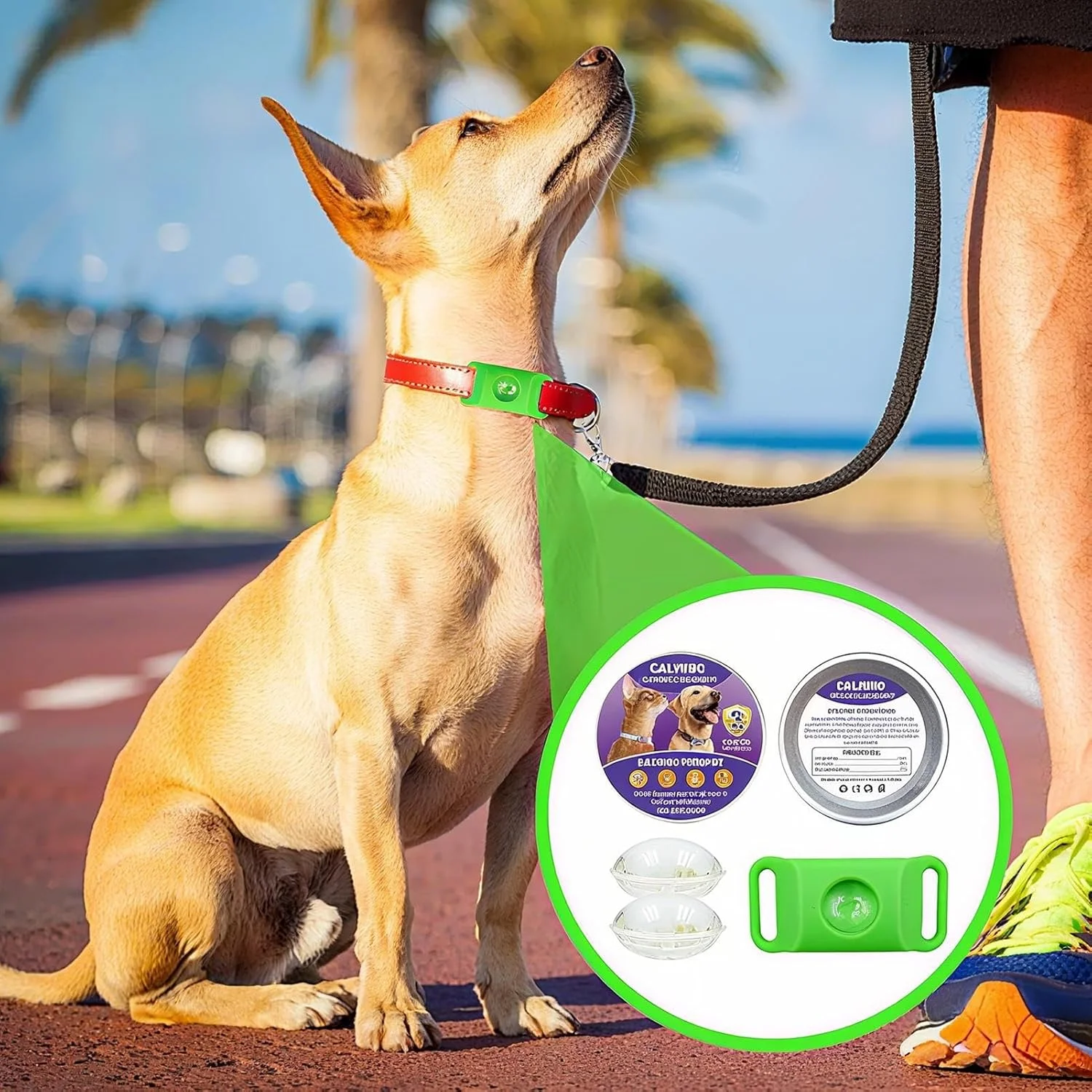 قلاده آرامبخش سیلیکونی - قلاده پشتیبانی از رفتار - آرامبخش پخش کننده انعطاف پذیر برای آرامش در خانه، مسافرت حیوانات خانگی، جدایی، فضای باز قلاده آرامبخش سیلیکونی - قلاده پشتیبانی از رفتار - آرامبخش پخش کننده انعطاف پذیر برای آرامش در خانه، مسافرت حیوانات خانگی، جدایی، فضای باز