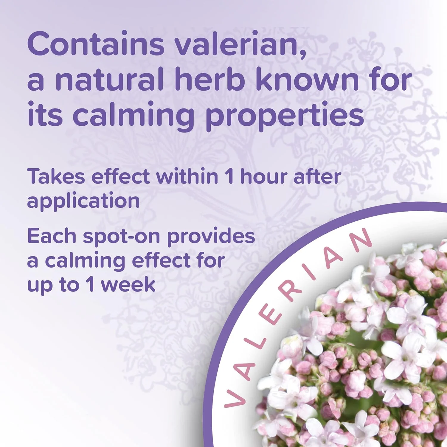 قطره آرام‌بخش سگ بیفار، آبی