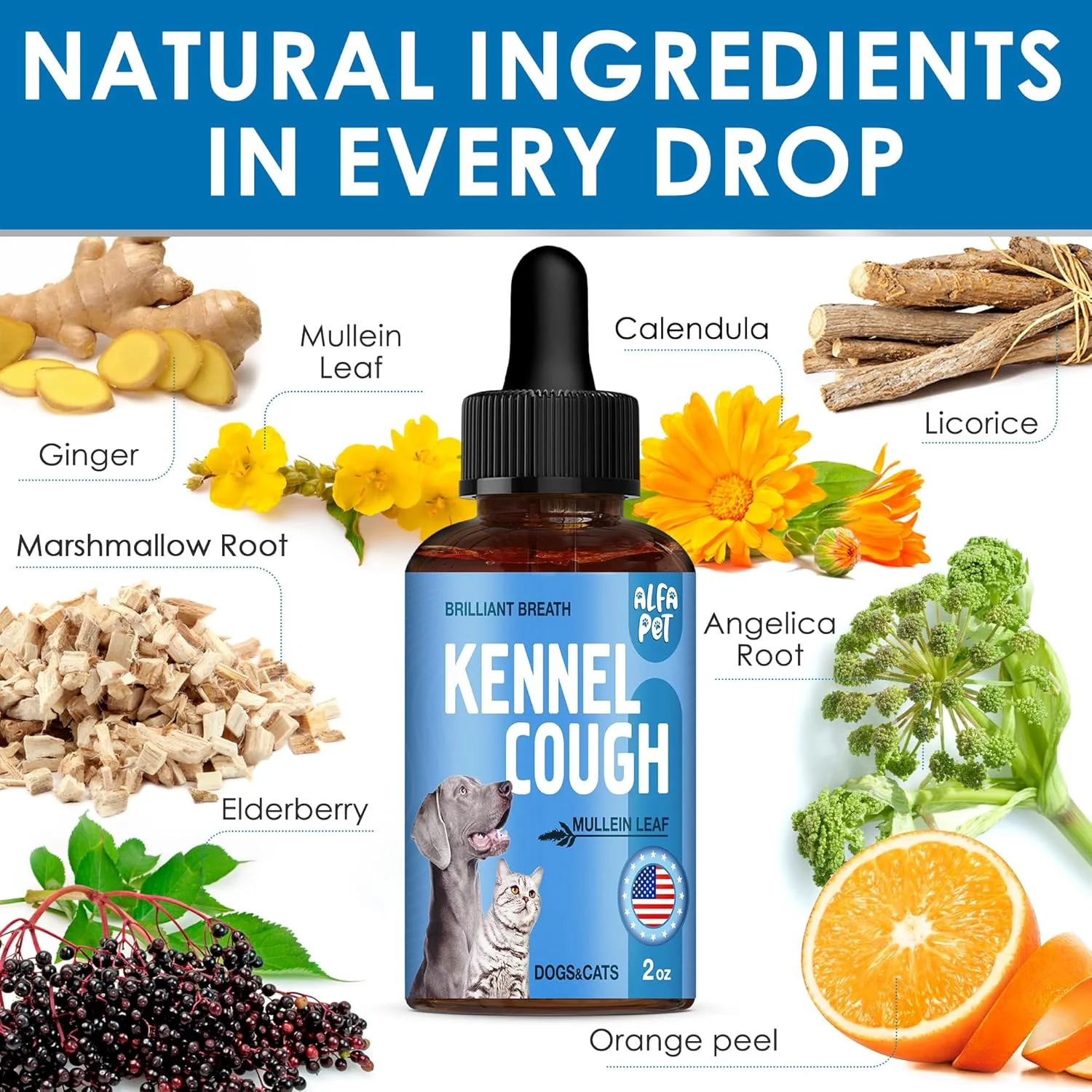 مایع درمان سرفه سگ و گربه • مناسب برای تنفس در طول دوره زندگی • حاوی ریشه ختمی و برگ خرگوشک • مکمل طبیعی برای همه نژادها • 60 میلی لیتر