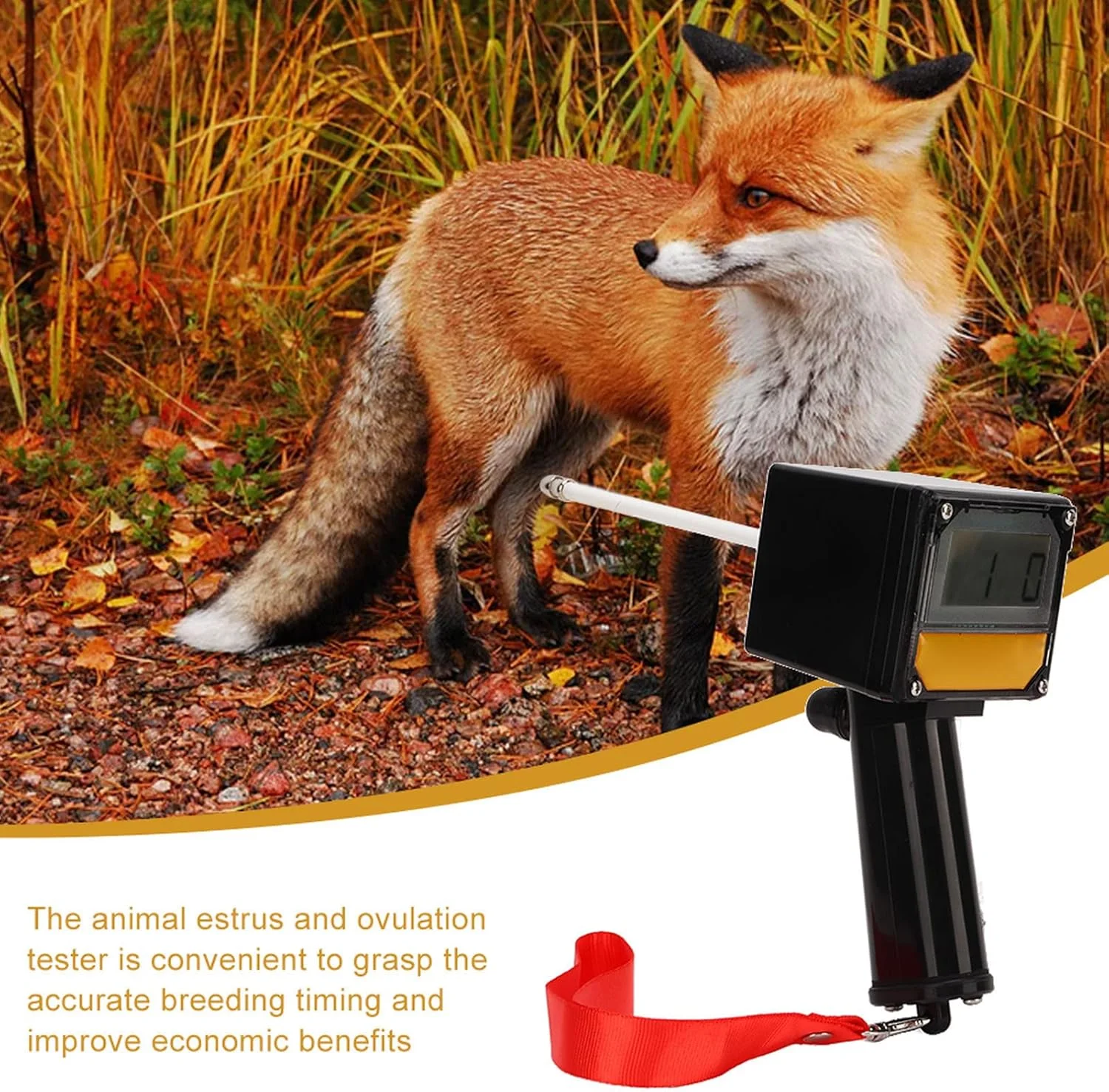 تستر تخمک گذاری حیوانات، تجهیزات تست تشخیص تخمک گذاری جفت گیری دامپزشکی، ابزار پرورش برای سگ گاو اسب خوک