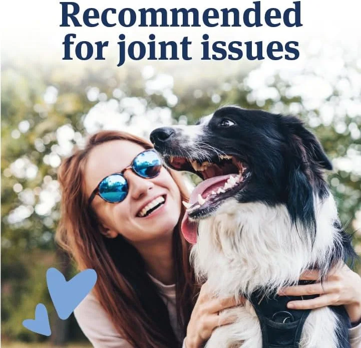 آسپرین سگ پت آرمور برای سگ های بزرگ، ضد التهاب و تسکین دهنده سریع درد برای سگ ها، پشتیبانی مفصلی با کیفیت دامپزشکی و داروهای ضد درد برای سگ ها، 120 قرص با طعم جگر