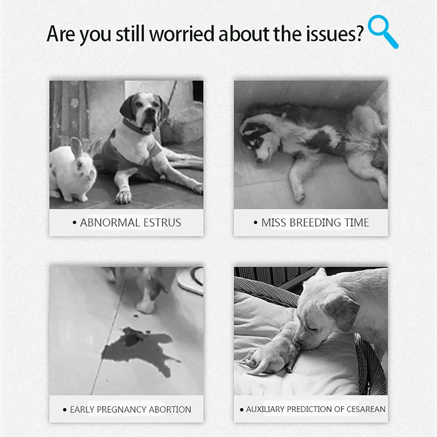 تجهیزات پرورش سگ کولن، تستر قابل حمل پروژسترون به همراه 50 کارت معرف — بهترین زمان جفت گیری برای سگ های ماده را تعیین کنید، به طور خودکار تست کرده و نتایج را نمایش می دهد