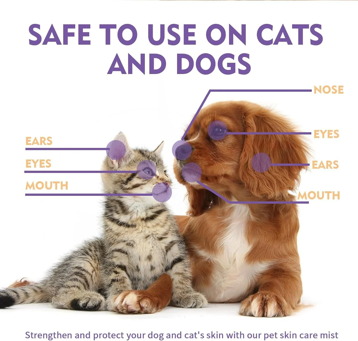اسپری پاک کننده پوست حیوانات خانگی 60 میلی لیتری، اسپری ضد خارش پوست حیوانات خانگی، اسپری مراقبت از پوست حیوانات خانگی، اسپری تسکین خارش پوست گربه و سگ، اسپری رفع مشکلات پوستی گربه و سگ، رفع خارش، پاک کننده و مراقبت اسپری پاک کننده پوست حیوانات خانگی 60 میلی لیتری، اسپری ضد خارش پوست حیوانات خانگی، اسپری مراقبت از پوست حیوانات خانگی، اسپری تسکین خارش پوست گربه و سگ، اسپری رفع مشکلات پوستی گربه و سگ، رفع خارش، پاک کننده و مراقبت