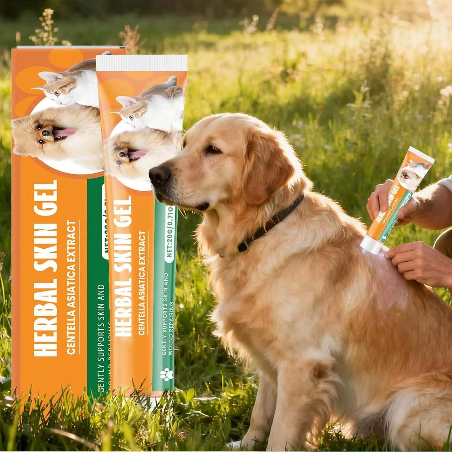کرم سگ برای پوست تحریک شده، 20 گرم مرطوب کننده طبیعی ژل غیر چرب، کرم ضد خارش سگ | برای مراقبت های بهداشتی روزانه حیوانات خانگی در خانه، پنجه های توله سگ گربه