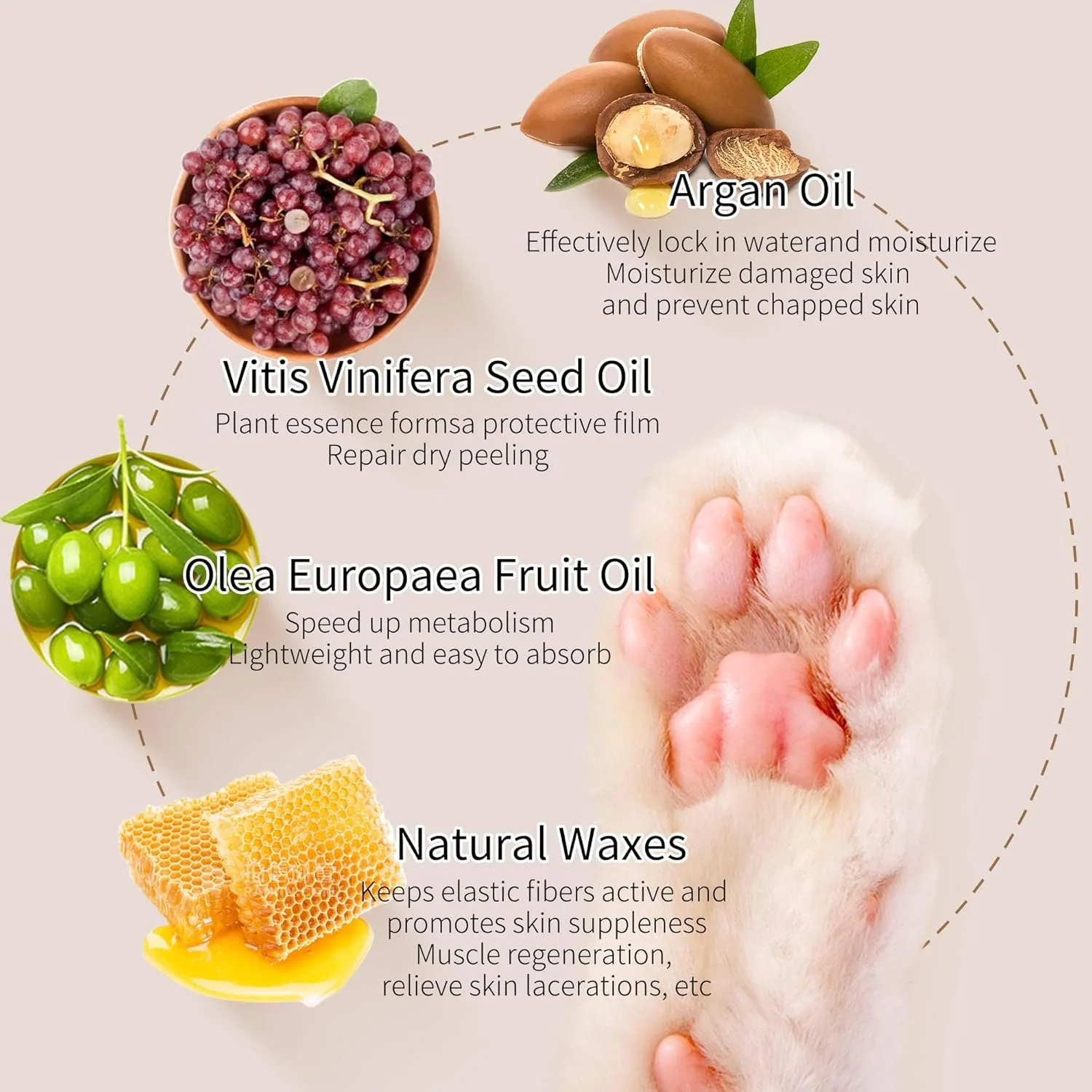 بالم طبیعی پنجه سگ مومو بیر، 60 گرم - کرم مرطوب کننده ارگانیک و خوراکی برای پنجه ها، پوزه و آرنج | ترمیم کننده پوست خشک و ترک خورده | حاوی ویتامین E و مواد خوراکی بالم طبیعی پنجه سگ مومو بیر، 60 گرم - کرم مرطوب کننده ارگانیک و خوراکی برای پنجه ها، پوزه و آرنج | ترمیم کننده پوست خشک و ترک خورده | حاوی ویتامین E و مواد خوراکی