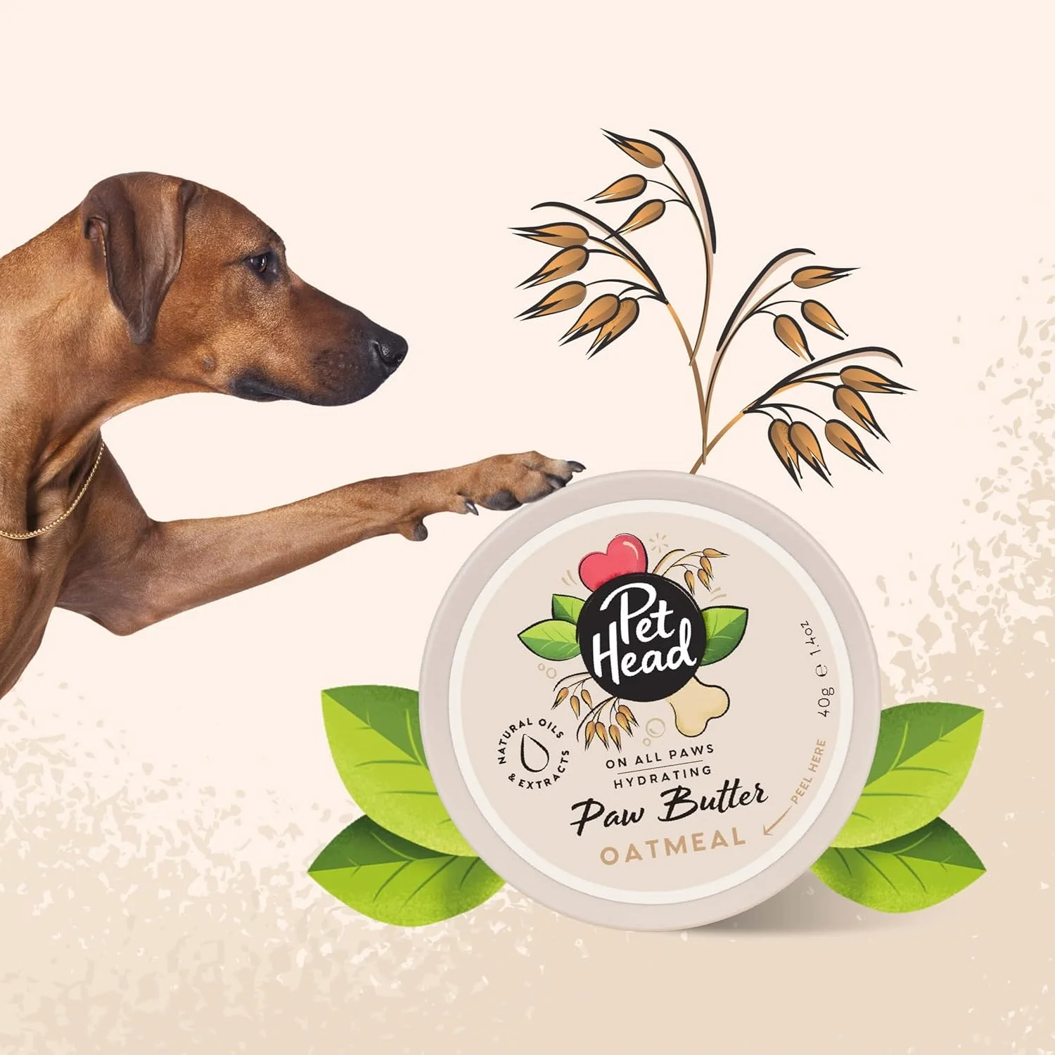 کره مرطوب کننده پوزه و پنجه سگ پت هد با رایحه جو دوسر، 40 گرم، مناسب برای انواع پنجه ها، تسکین دهنده و مغذی برای پنجه ها و بینی های نرم و بدون ترک، فرمول ملایم وگان و بی خطر برای توله سگ ها