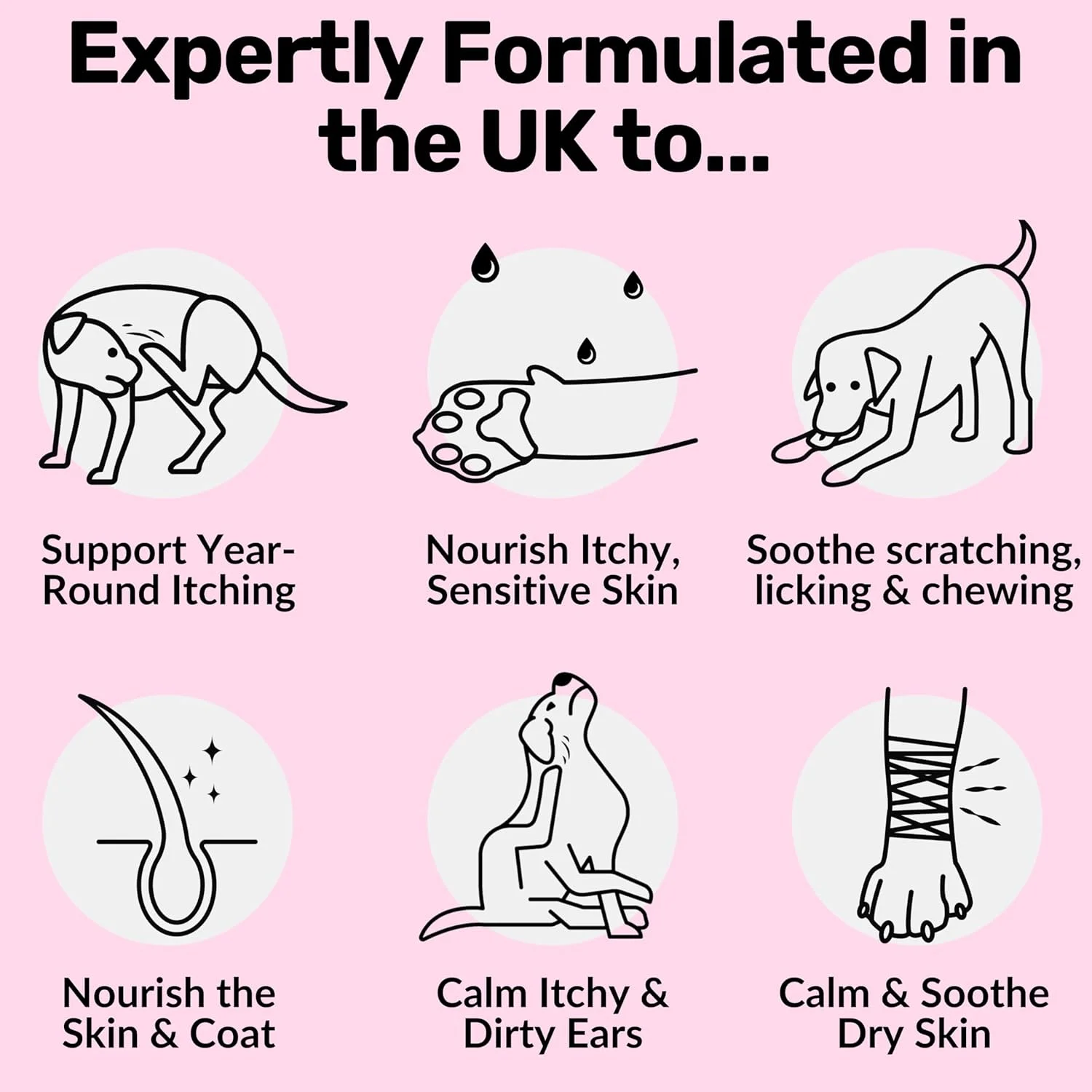 تشویقی گیاهی ضد خارش NutriPaw برای سگ ها - تسکین خارش پنجه، چشم، گوش، پوست - توقف خارش، لیسیدن، خراشیدن - ایده آل برای سگ های کوچک، متوسط و بزرگ - پشتیبانی از خارش فصلی تشویقی گیاهی ضد خارش NutriPaw برای سگ ها - تسکین خارش پنجه، چشم، گوش، پوست - توقف خارش، لیسیدن، خراشیدن - ایده آل برای سگ های کوچک، متوسط و بزرگ - پشتیبانی از خارش فصلی