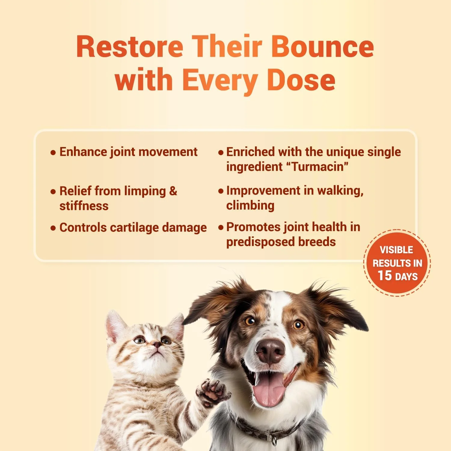 مکمل مفصلی ارتون درمان های طبیعی برای سگ ها و گربه ها، تسکین دهنده لنگش و سفتی، افزایش دهنده حرکت مفاصل، جگر مرغ واقعی، کاملا طبیعی و ایمن، تغذیه آسان، 10 قرص خوش طعم - بسته 1 عددی