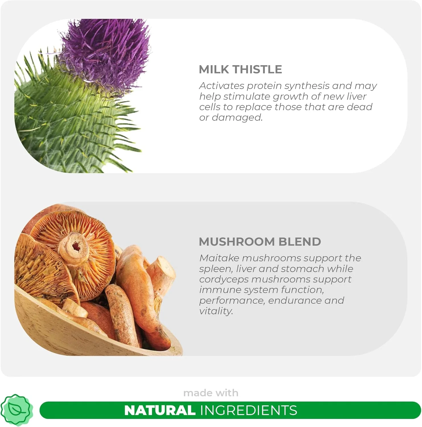 کمپلکس قارچ برای سگ ها - 120 قرص جویدنی - قارچ دم بوقلمون - حمایت از سیستم ایمنی، مفاصل، گوارش و کبد به همراه خار مریم