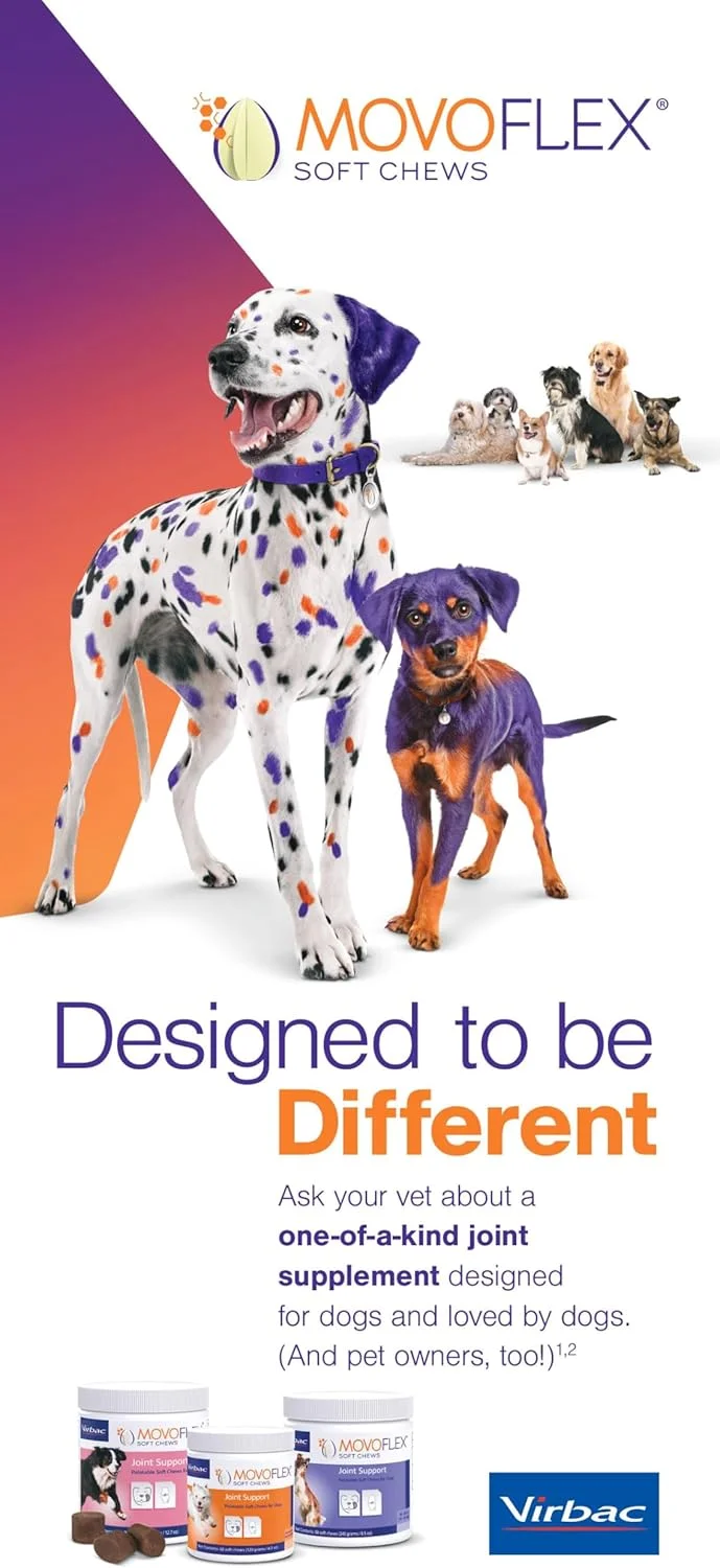 تشویقی نرم مفاصل مووفلکس - مکمل مفاصل و تحرک برای سگ ها، نژاد بزرگ > 35 کیلوگرم - 30 عدد تشویقی نرم تشویقی نرم مفاصل مووفلکس - مکمل مفاصل و تحرک برای سگ ها، نژاد بزرگ > 35 کیلوگرم - 30 عدد تشویقی نرم