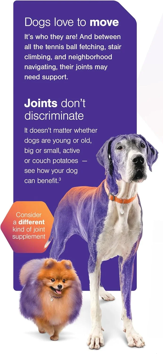 تشویقی نرم مفاصل مووفلکس - مکمل مفاصل و تحرک برای سگ ها، نژاد بزرگ > 35 کیلوگرم - 30 عدد تشویقی نرم تشویقی نرم مفاصل مووفلکس - مکمل مفاصل و تحرک برای سگ ها، نژاد بزرگ > 35 کیلوگرم - 30 عدد تشویقی نرم