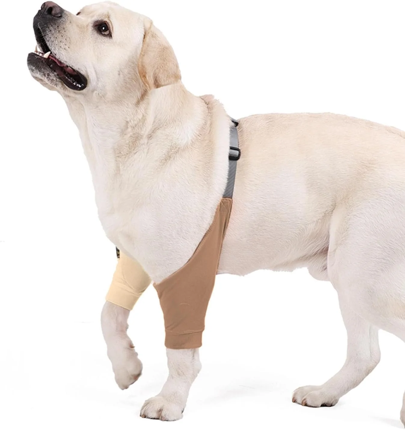 آستین محافظ مفصل جلویی پای سگ، آستین آرنجی پد دار برای سگ های بزرگ و متوسط ​​جلوگیری از لیسیدن زخم - XL (قهوه ای)