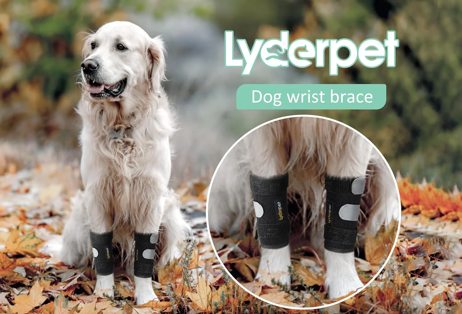 مچ بند سگ، محافظ مچ دست یا کارپال جلویی برای سگ های خانگی، بانداژ فشاری با آتل فلزی، جلوگیری از آسیب دیدگی و رگ به رگ شدن مچ پا، کمک به رفع عدم ثبات ناشی از آرتروز