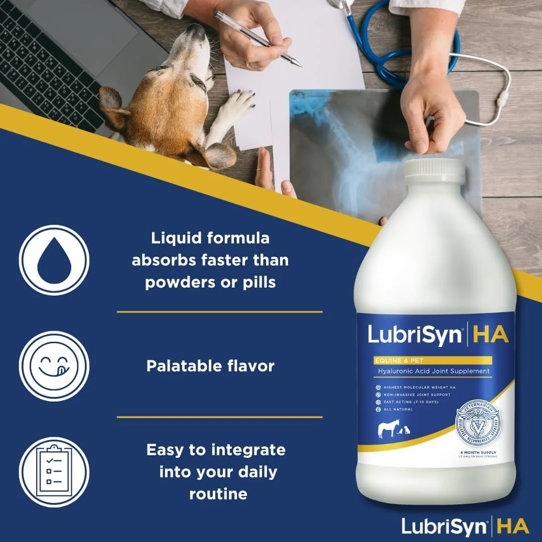 مایع خوراکی اسید هیالورونیک LubriSynHA برای مفاصل حیوانات خانگی و اسب - کاملا طبیعی، وزن مولکولی بالا - پشتیبانی از مفاصل برای اسب ها، سگ ها، گربه ها - ترویج عملکرد سالم مفاصل، ساخت آمریکا