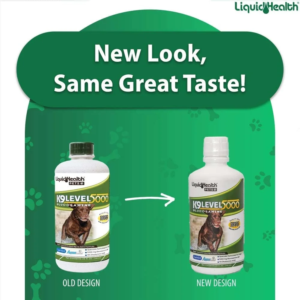 مایع گلوکزامین سگ LIQUIDHEALTH، 946 میلی لیتر، سطح 5000 حاوی گلوکزامین کندرویتین، MSM و Boswellia Serrata - برای سلامت مفاصل ران سگ، درد و روغن - بسته 2 عددی