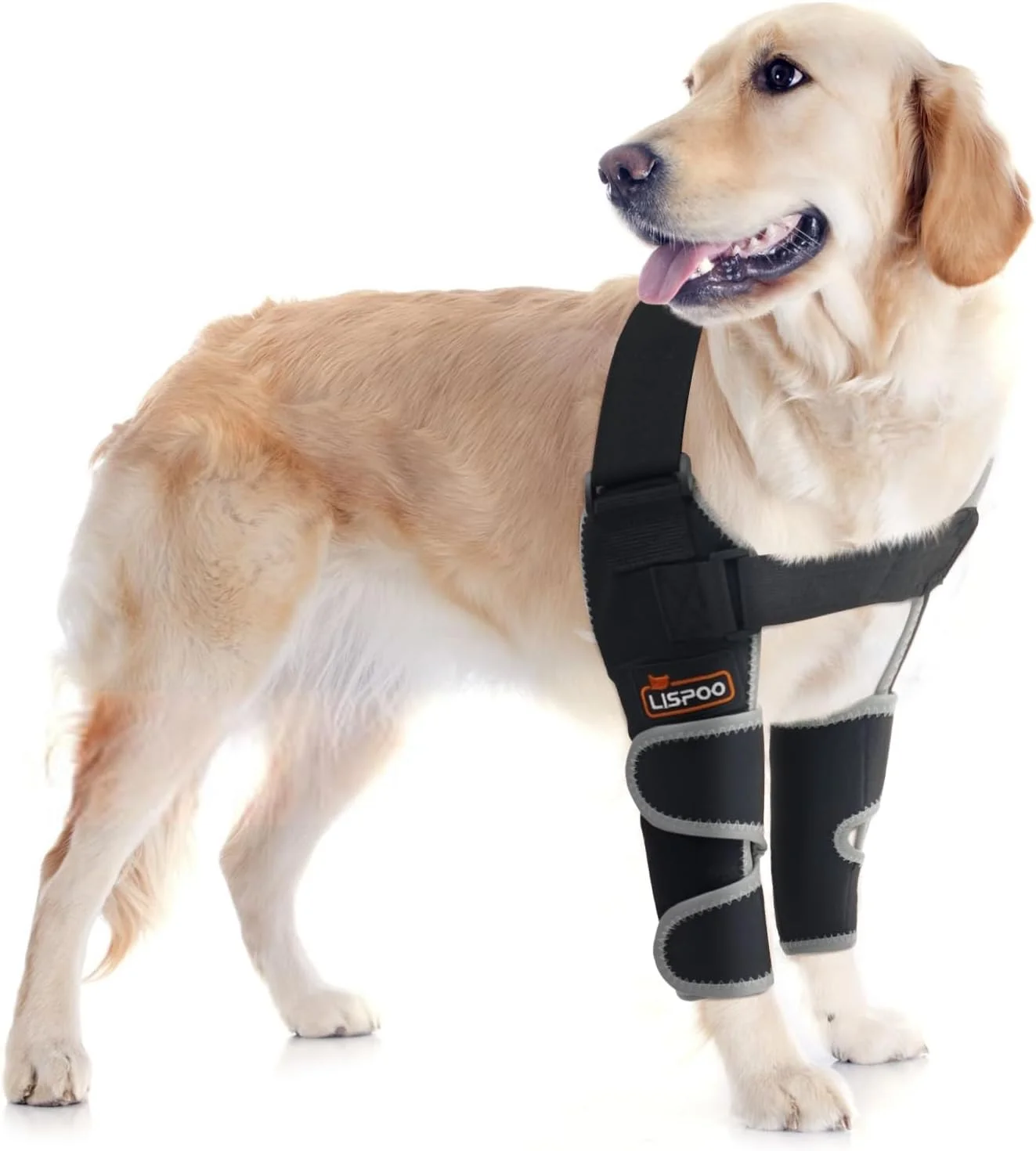 زانوبند آرنج سگ برای شانه و پای جلویی، محافظ آرنج سگ برای دررفتگی شانه، زخم فشاری، آسیب آرنج و از دست دادن ثبات ناشی از آرتروز زانوبند آرنج سگ برای شانه و پای جلویی، محافظ آرنج سگ برای دررفتگی شانه، زخم فشاری، آسیب آرنج و از دست دادن ثبات ناشی از آرتروز