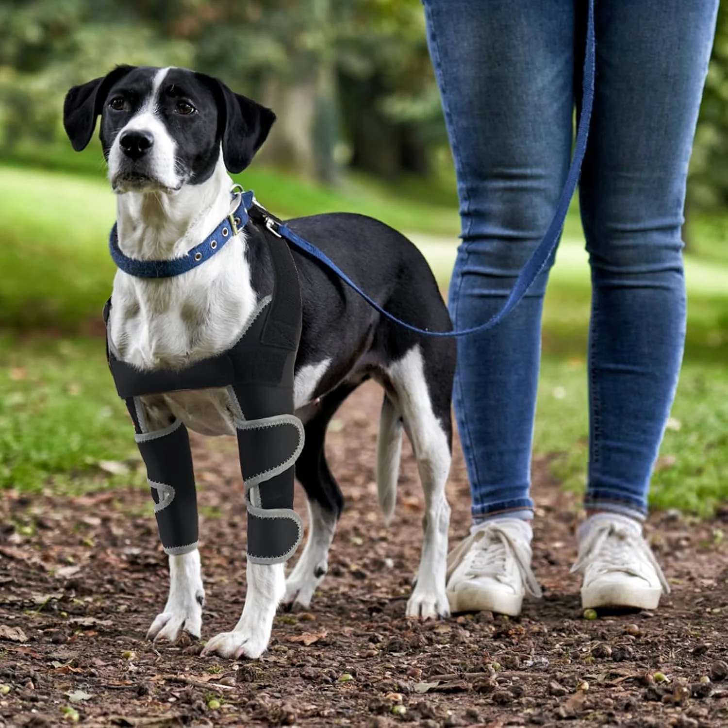 زانوبند آرنج سگ برای شانه و پای جلویی، محافظ آرنج سگ برای دررفتگی شانه، زخم فشاری، آسیب آرنج و از دست دادن ثبات ناشی از آرتروز