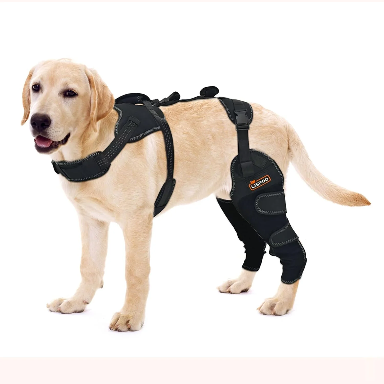 زانوبند پای عقب سگ، محافظ پای عقب سگ برای آرتروز خفیف، دررفتگی کشکک، محافظ پای عقب سگ، تسکین درد آرتروز، زانوبند پای عقب سگ