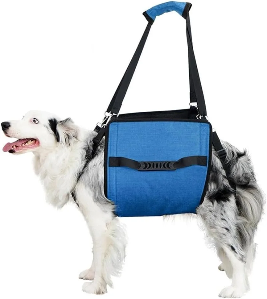 کمک حرکتی سگ، کمک پیاده روی سگ، هارنس بالابر سگ با دسته، جلو، عقب یا تمام بدن برای سگ های مسن، آسیب های مفصلی، سگ های معلول آبی M