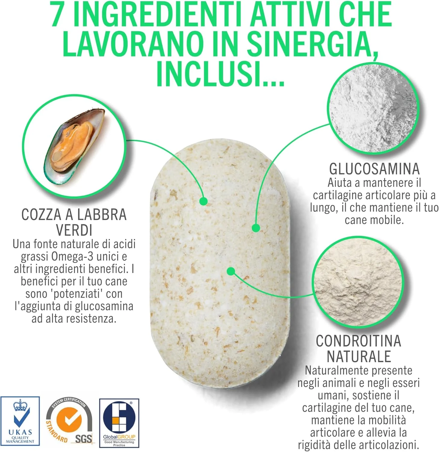 مکمل مفاصل سگ های جوان و فعال. فرمول سه گانه با صدف لب سبز و گلوکزامین برای مراقبت از مفاصل سگ. کمک به مفاصل خشک، پشتیبانی از ساختار مفاصل و حفظ تحرک.