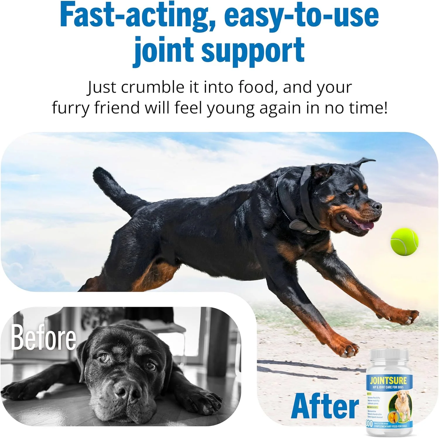 قرص های مفصلی سگ، کپسول های مفصلی ممتاز، 120 قرص حاوی گلوکزامین، پودر مفصلی و صدف های لب سبز، برای بهبود تحرک و سلامت مفاصل در سگ ها