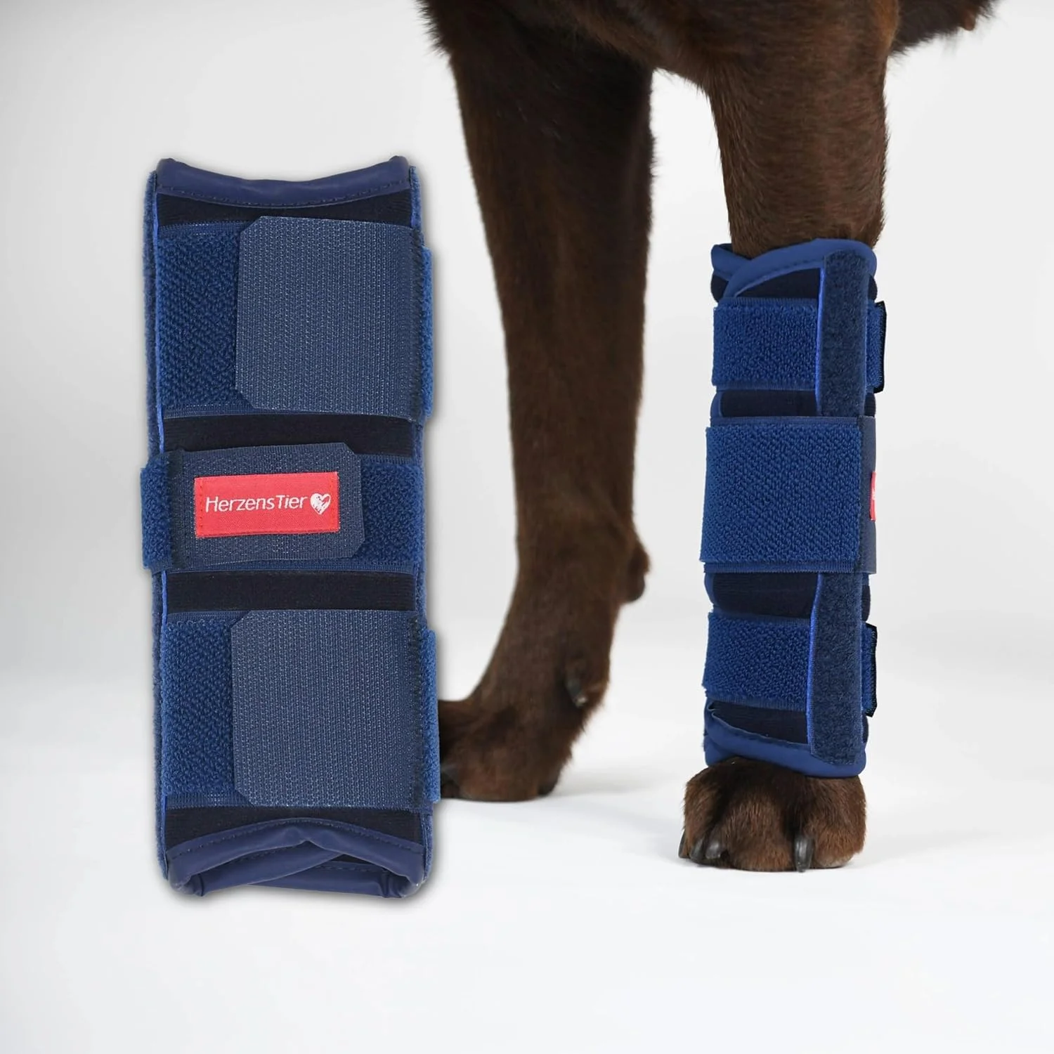 زانوبند فوم مفصل مچ دست سایز XL برای سگ و گربه با آتل برای تثبیت نفوذ و کمک به آسیب های حاد مفصل مچ دست زانوبند فوم مفصل مچ دست سایز XL برای سگ و گربه با آتل برای تثبیت نفوذ و کمک به آسیب های حاد مفصل مچ دست